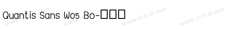 Quantis Sans W05 Bo字体转换
